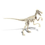 Archeogiocando – Velociraptor